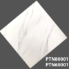 PTN60001-PTN80001